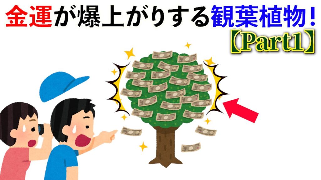 【雑学】金運が爆上がりする観葉植物はこれ！《Part1》