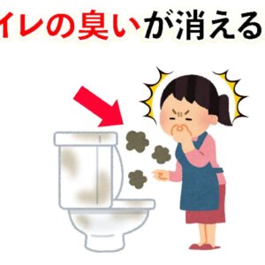 【雑学】実はトイレの臭いが消える裏技は これ！他