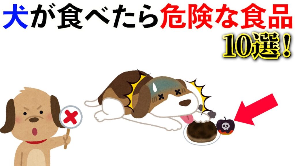 【雑学】犬が食べたら危険な食品10選！